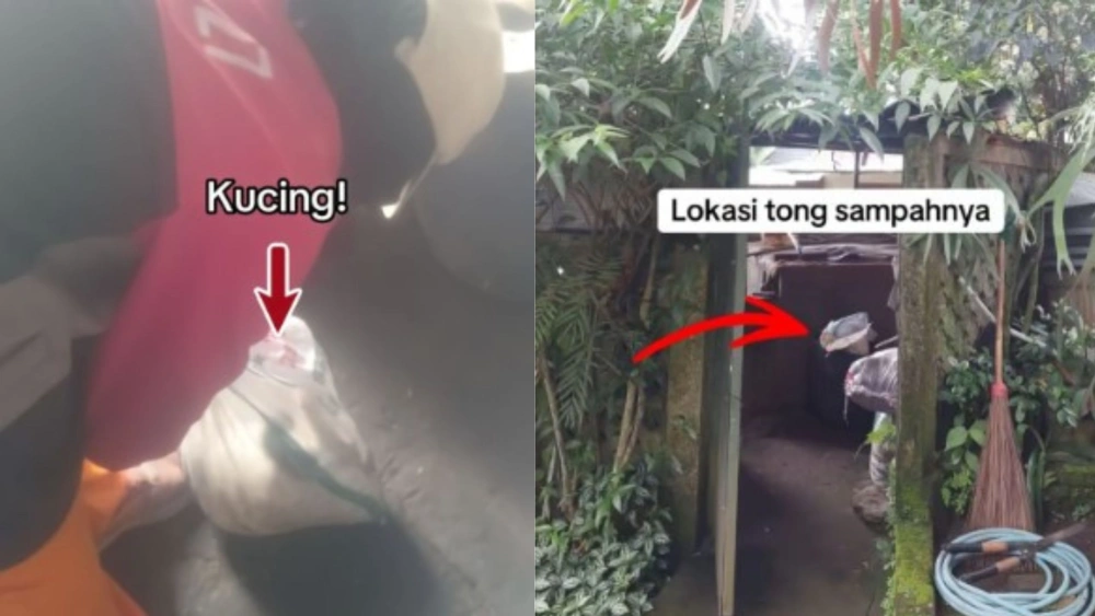 Viral Kafe Di Bandung Diduga Buang Kucing Dalam Karung, Netizen Murka